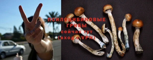 амф Абдулино